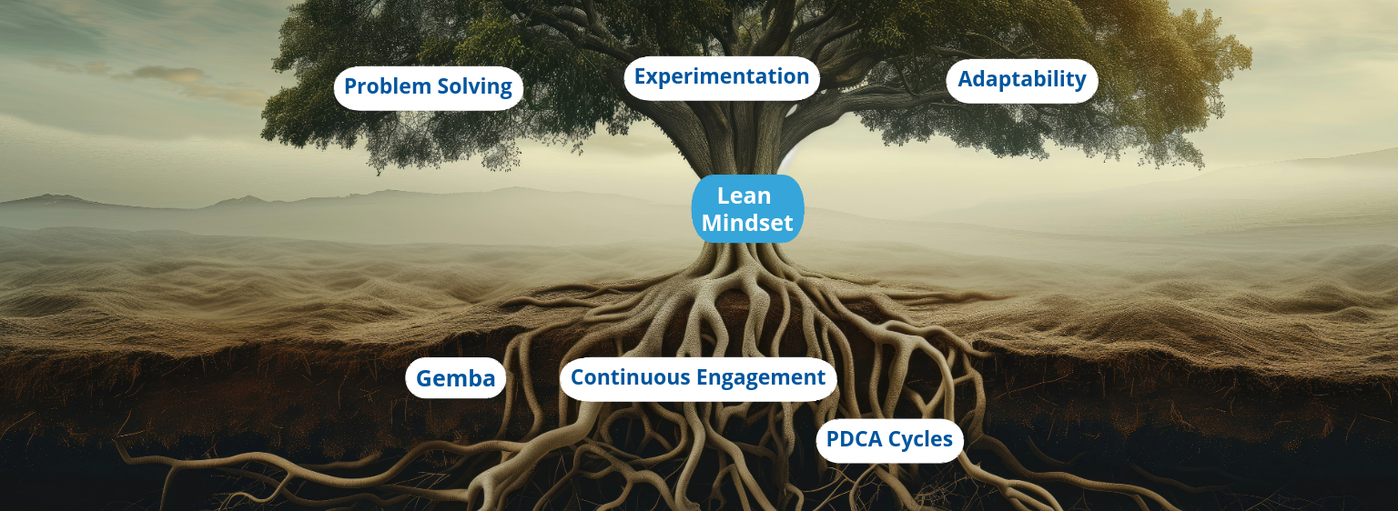 tree as a lean mindset metaphor. roots = gemba, continuous imprivement. Trunk = lean mindset, and branches = problem solving, experimentation, adaptability.